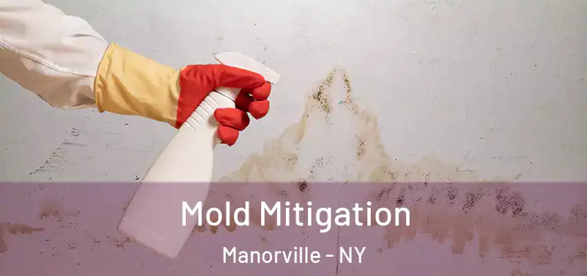 Mold Mitigation Manorville - NY