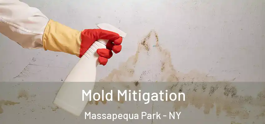 Mold Mitigation Massapequa Park - NY