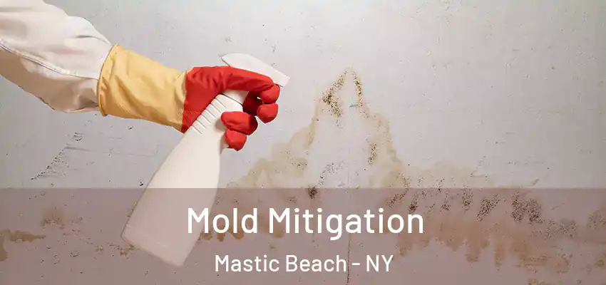  Mold Mitigation Mastic Beach - NY