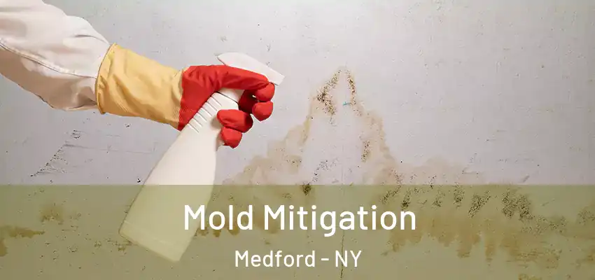 Mold Mitigation Medford - NY