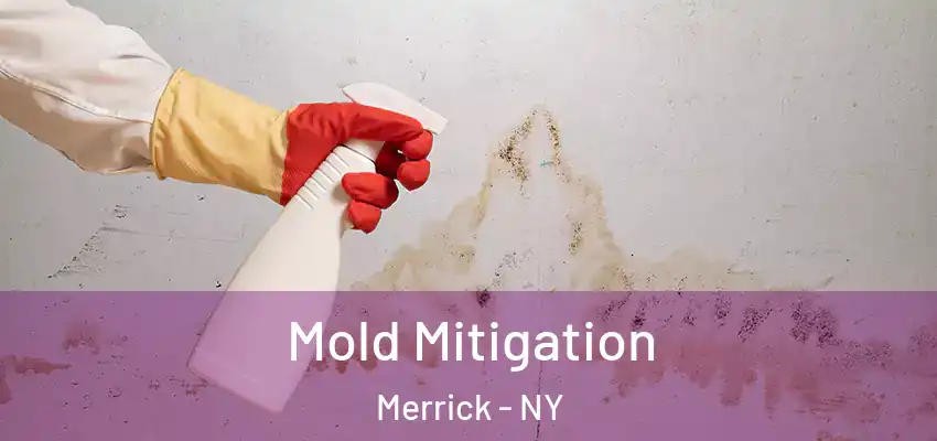 Mold Mitigation Merrick - NY