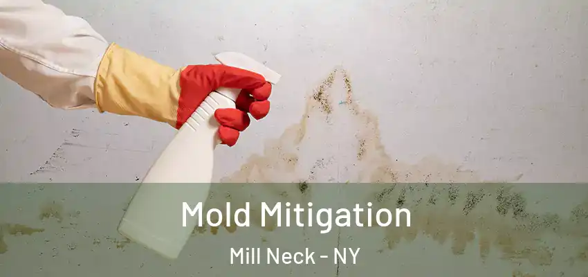 Mold Mitigation Mill Neck - NY