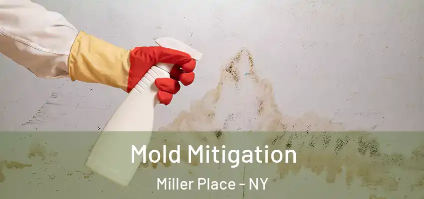 Mold Mitigation Miller Place - NY
