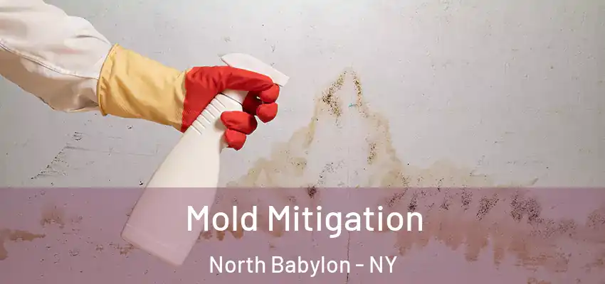 Mold Mitigation North Babylon - NY