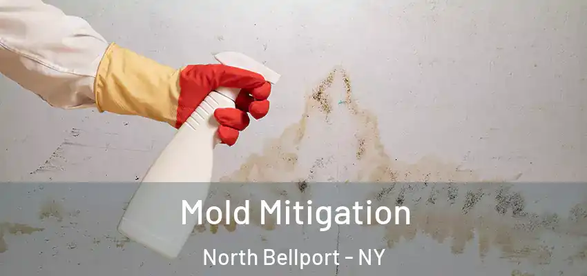  Mold Mitigation North Bellport - NY