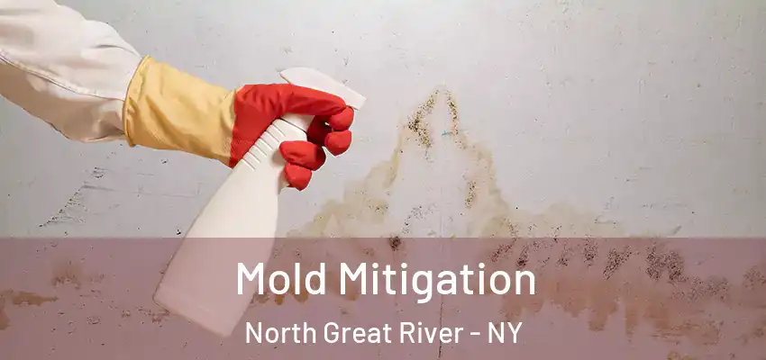 Mold Mitigation North Great River - NY