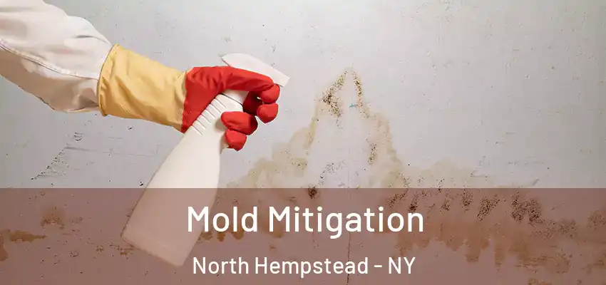 Mold Mitigation North Hempstead - NY