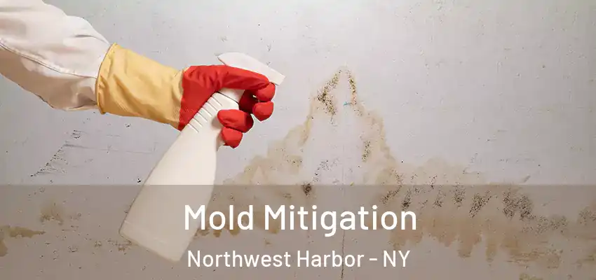  Mold Mitigation Northwest Harbor - NY