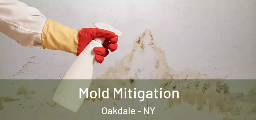  Mold Mitigation Oakdale - NY
