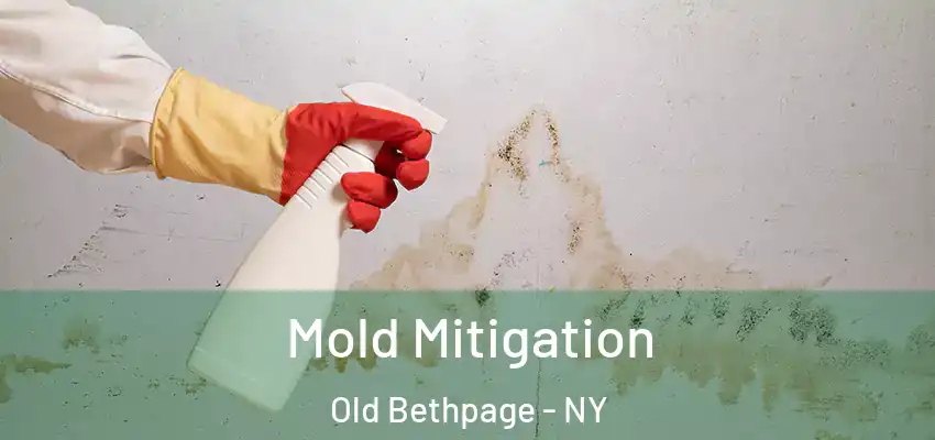 Mold Mitigation Old Bethpage - NY
