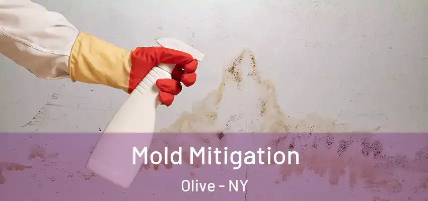 Mold Mitigation Olive - NY