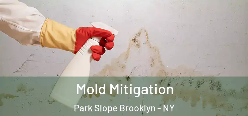 Mold Mitigation Park Slope Brooklyn - NY