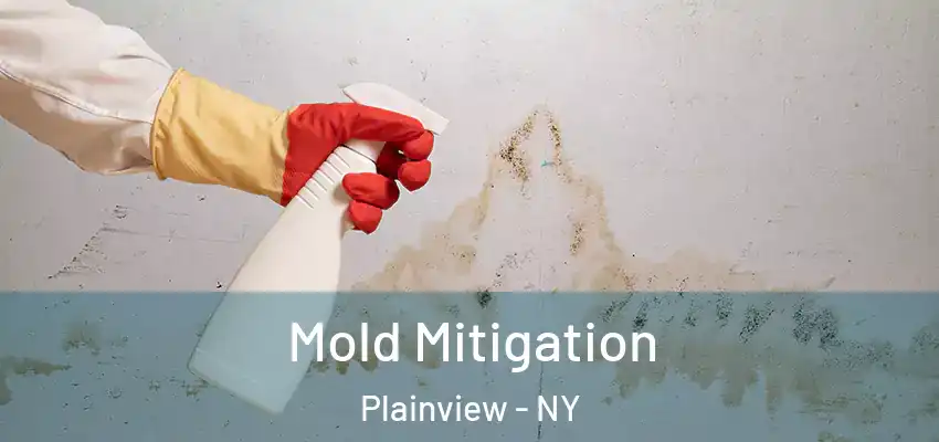 Mold Mitigation Plainview - NY