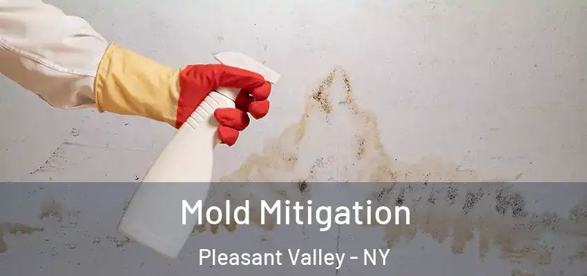  Mold Mitigation Pleasant Valley - NY
