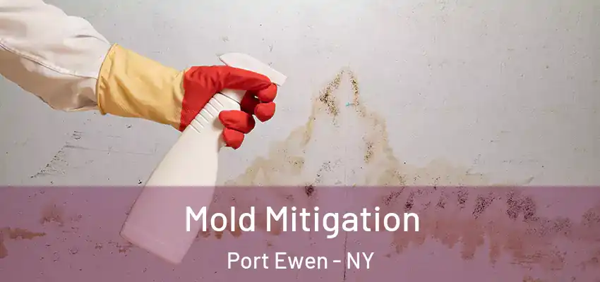 Mold Mitigation Port Ewen - NY
