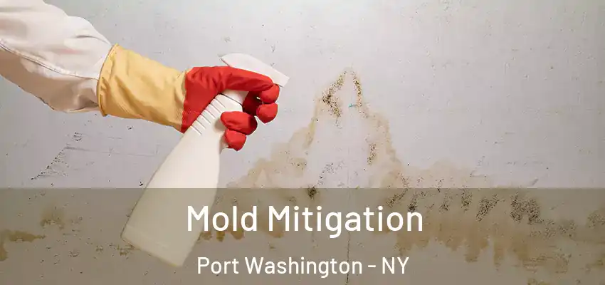 Mold Mitigation Port Washington - NY