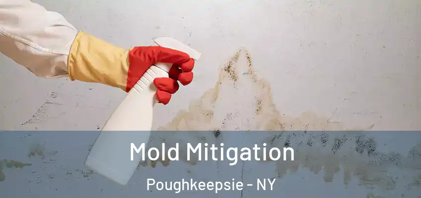 Mold Mitigation Poughkeepsie - NY