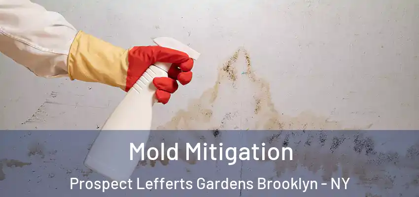  Mold Mitigation Prospect Lefferts Gardens Brooklyn - NY