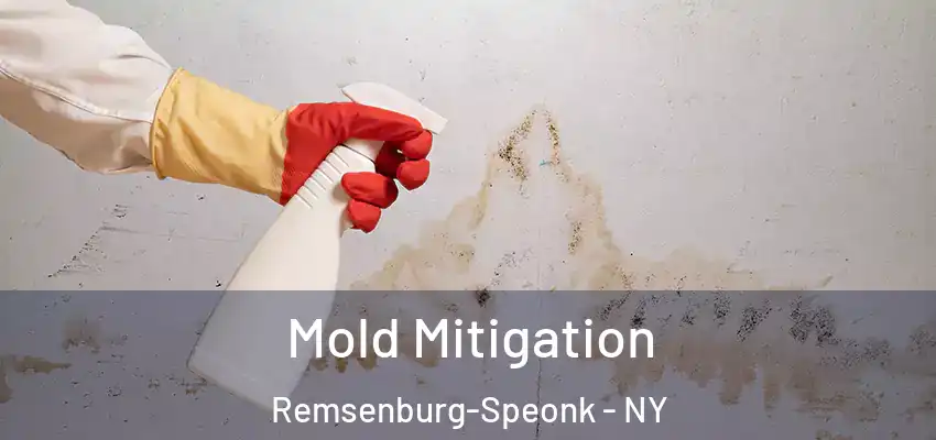 Mold Mitigation Remsenburg-Speonk - NY