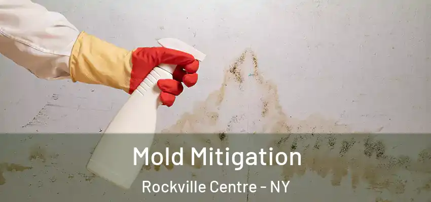 Mold Mitigation Rockville Centre - NY