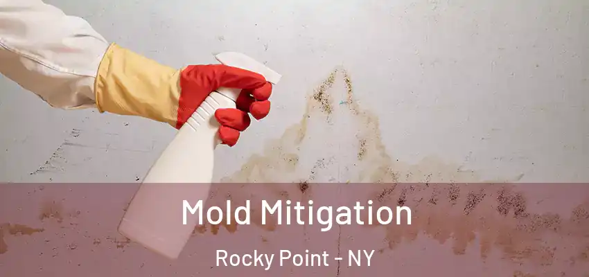  Mold Mitigation Rocky Point - NY