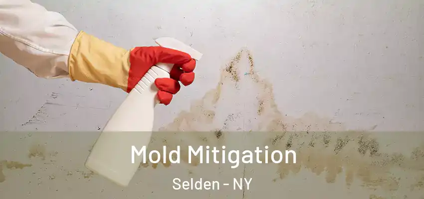  Mold Mitigation Selden - NY