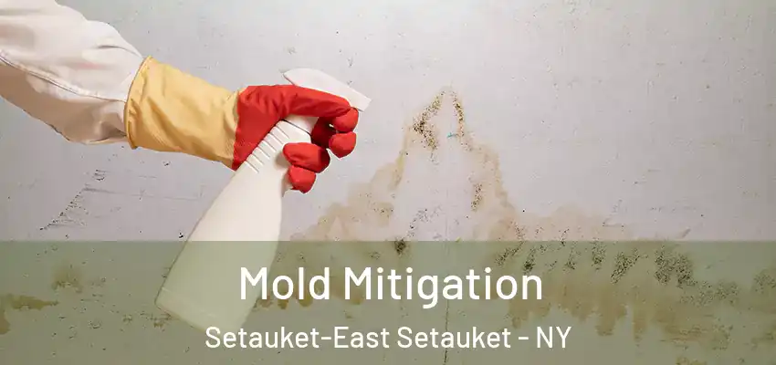  Mold Mitigation Setauket-East Setauket - NY