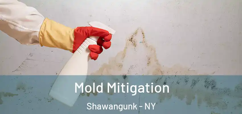 Mold Mitigation Shawangunk - NY