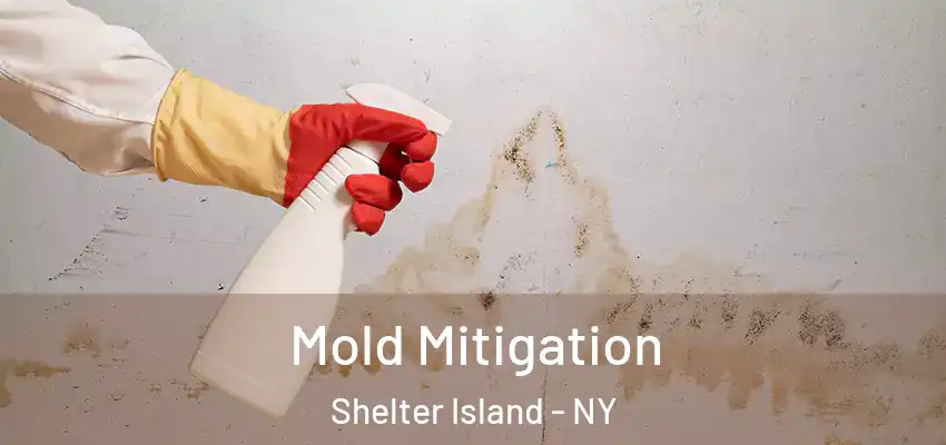 Mold Mitigation Shelter Island - NY