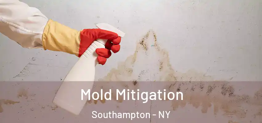 Mold Mitigation Southampton - NY