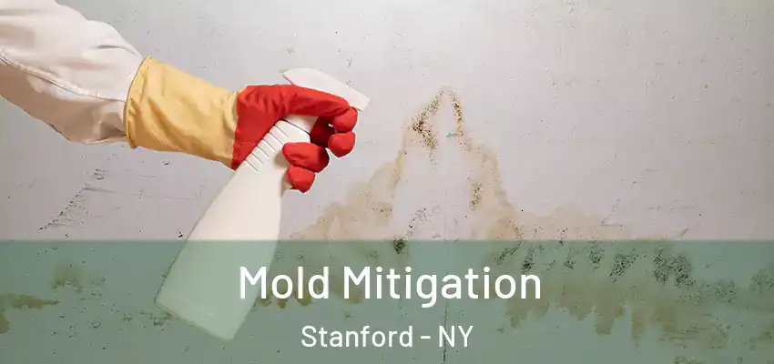  Mold Mitigation Stanford - NY