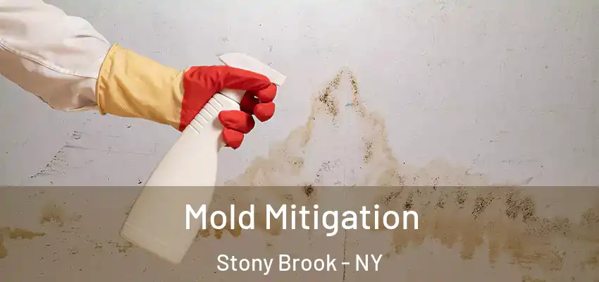 Mold Mitigation Stony Brook - NY