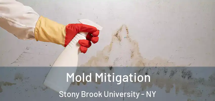  Mold Mitigation Stony Brook University - NY