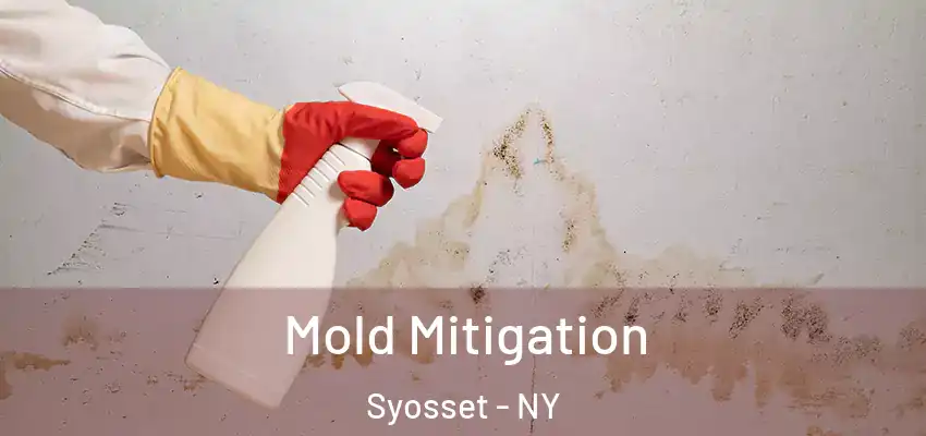  Mold Mitigation Syosset - NY