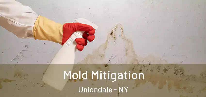  Mold Mitigation Uniondale - NY