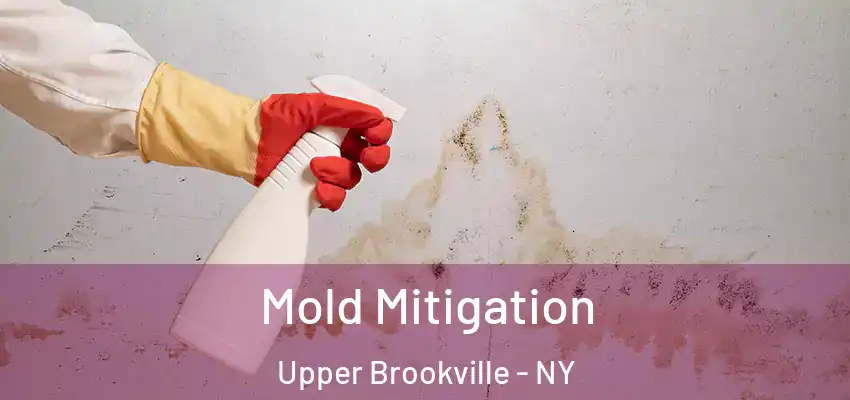  Mold Mitigation Upper Brookville - NY
