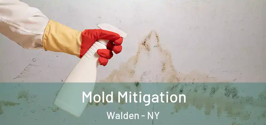 Mold Mitigation Walden - NY