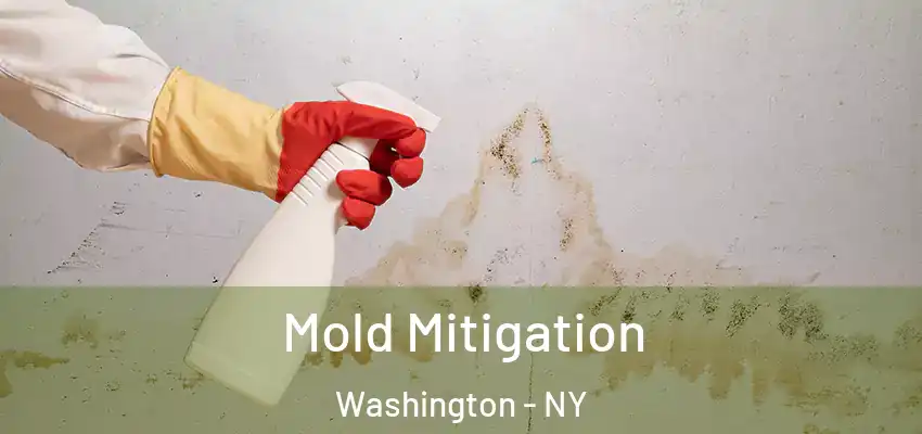 Mold Mitigation Washington - NY