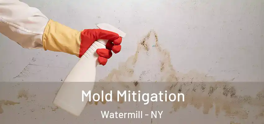 Mold Mitigation Watermill - NY