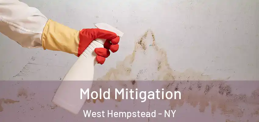 Mold Mitigation West Hempstead - NY