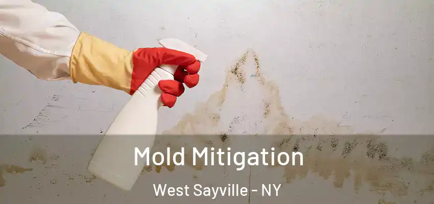 Mold Mitigation West Sayville - NY