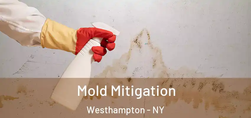  Mold Mitigation Westhampton - NY
