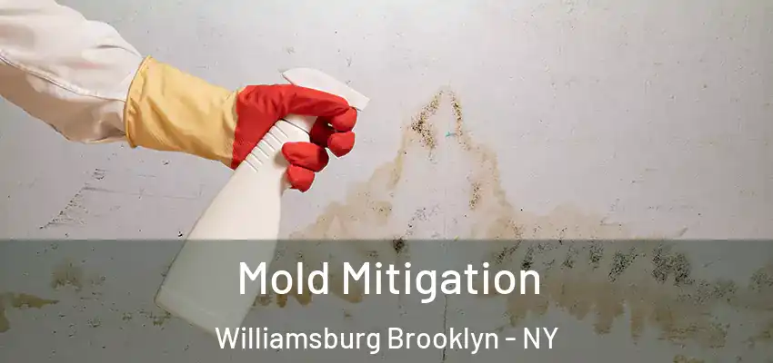  Mold Mitigation Williamsburg Brooklyn - NY