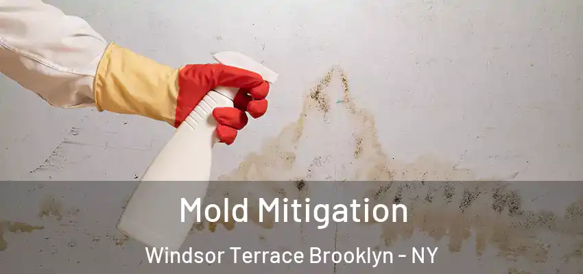 Mold Mitigation Windsor Terrace Brooklyn - NY
