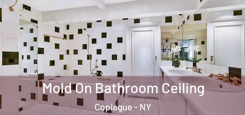  Mold On Bathroom Ceiling Copiague - NY