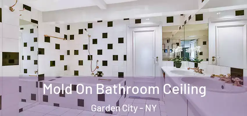  Mold On Bathroom Ceiling Garden City - NY