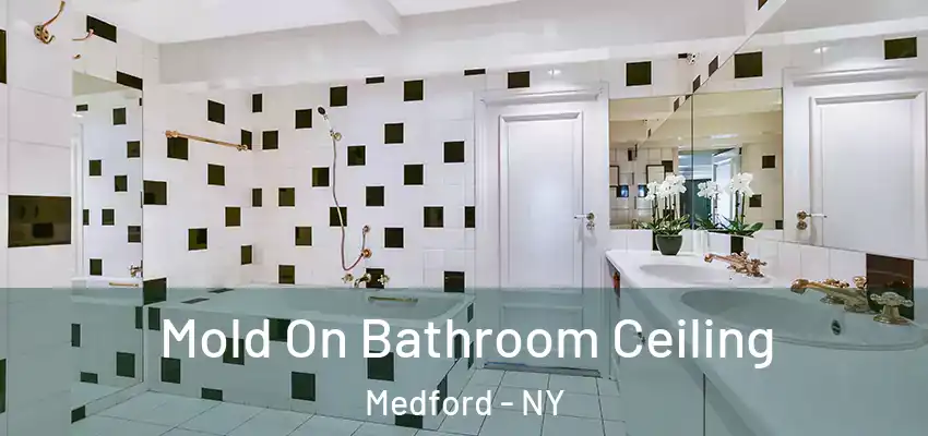 Mold On Bathroom Ceiling Medford - NY