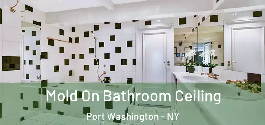  Mold On Bathroom Ceiling Port Washington - NY