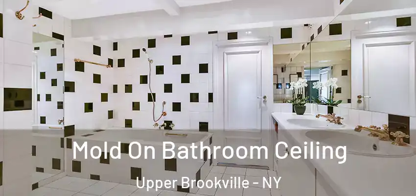 Mold On Bathroom Ceiling Upper Brookville - NY