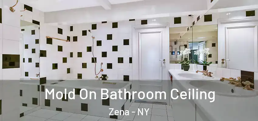 Mold On Bathroom Ceiling Zena - NY